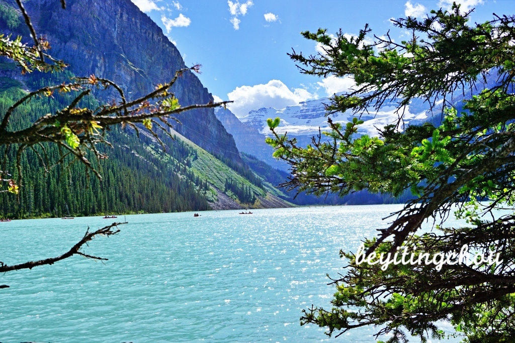 DSC00366.JPG DSC00366.JPG