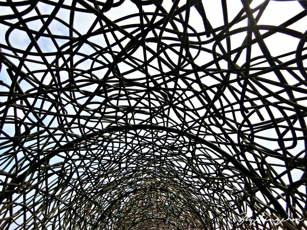 CIMG0179.JPG CIMG0179.JPG