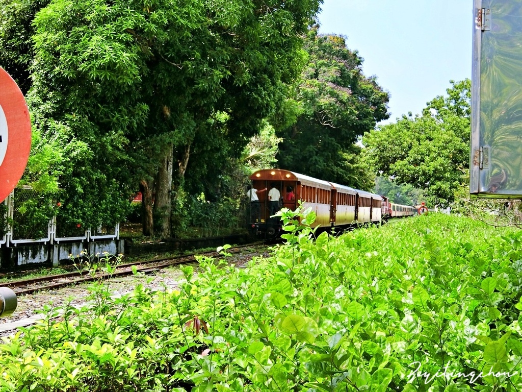 CIMG0205.JPG CIMG0205.JPG