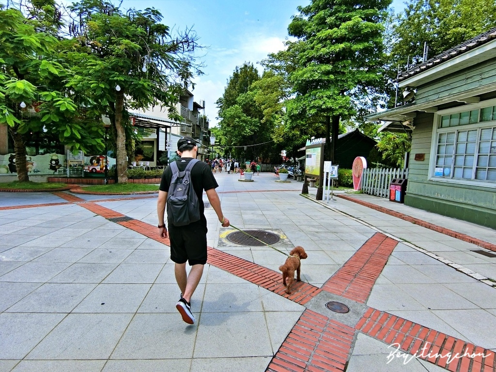 CIMG0251.JPG CIMG0251.JPG