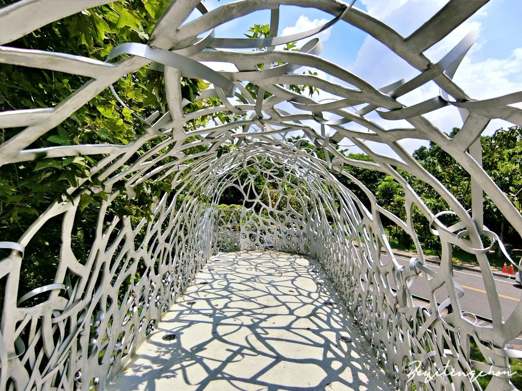 CIMG0260.JPG CIMG0260.JPG