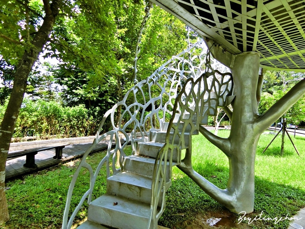 CIMG0263.JPG CIMG0263.JPG