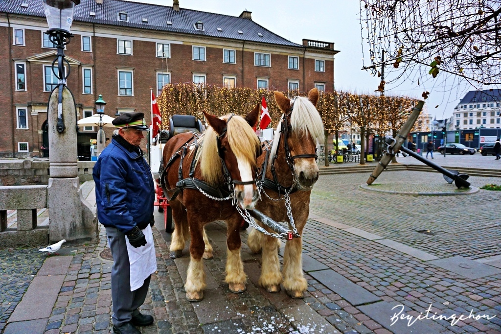 DSC05705.JPG DSC05705.JPG