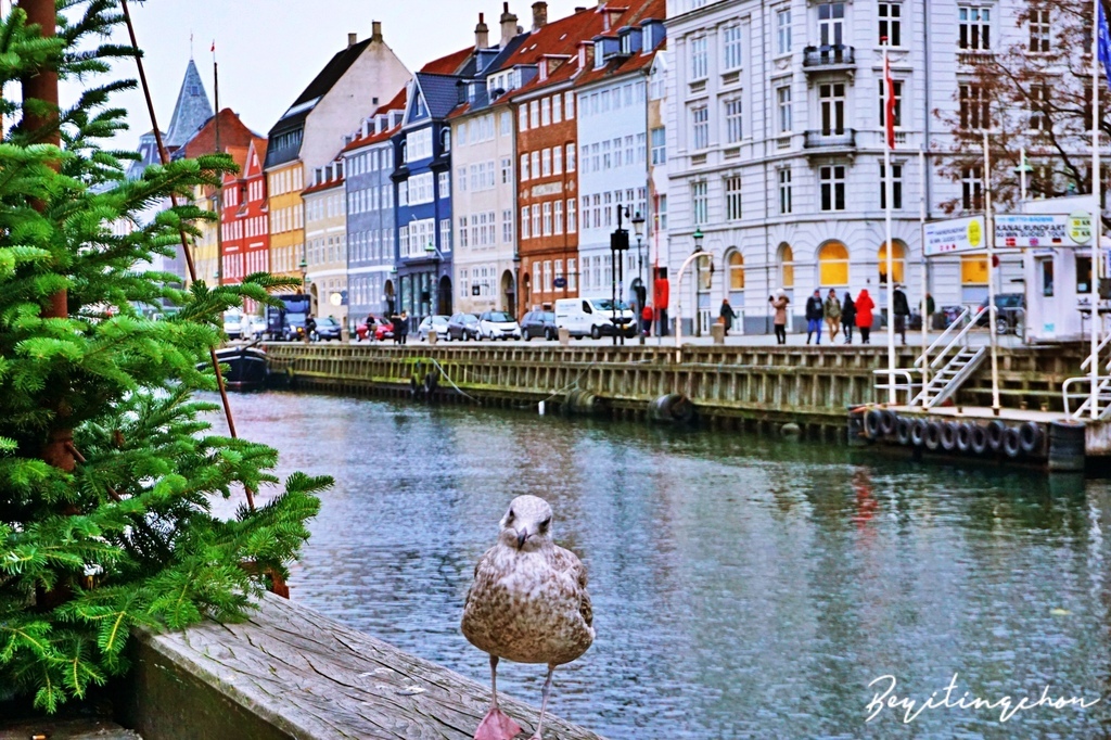 DSC05714.JPG DSC05714.JPG