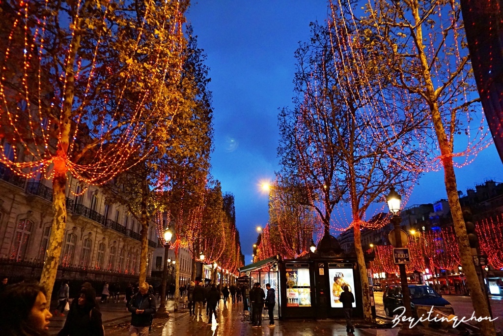 DSC06484.JPG DSC06484.JPG