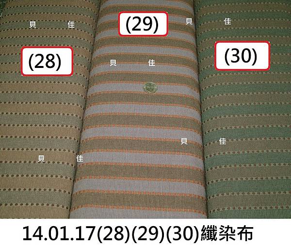 14.01.17(28)(29)(30)纖染布.JPG