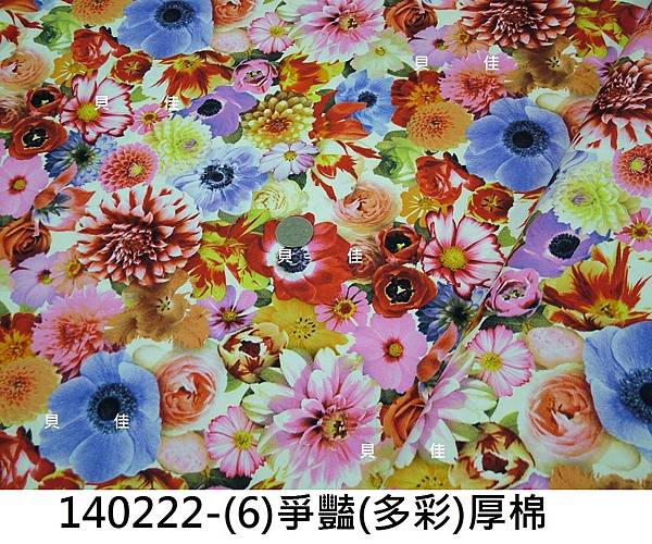 140222-(6)爭豔(多彩)厚棉.JPG