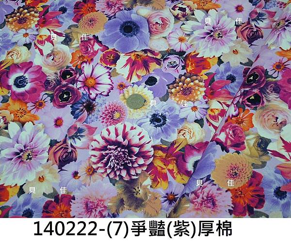 140222-(7)爭豔(紫)厚棉.JPG