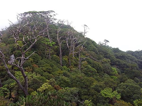 上望拜燦山