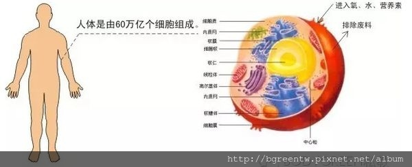 律動療法讓你輕鬆告別慢性疲勞