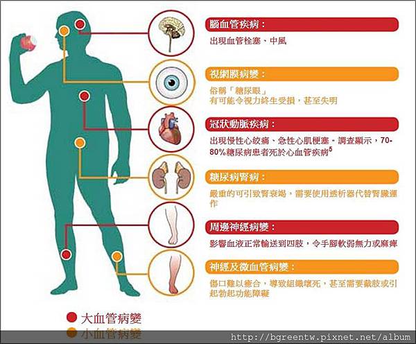 律動預防並改善糖尿病