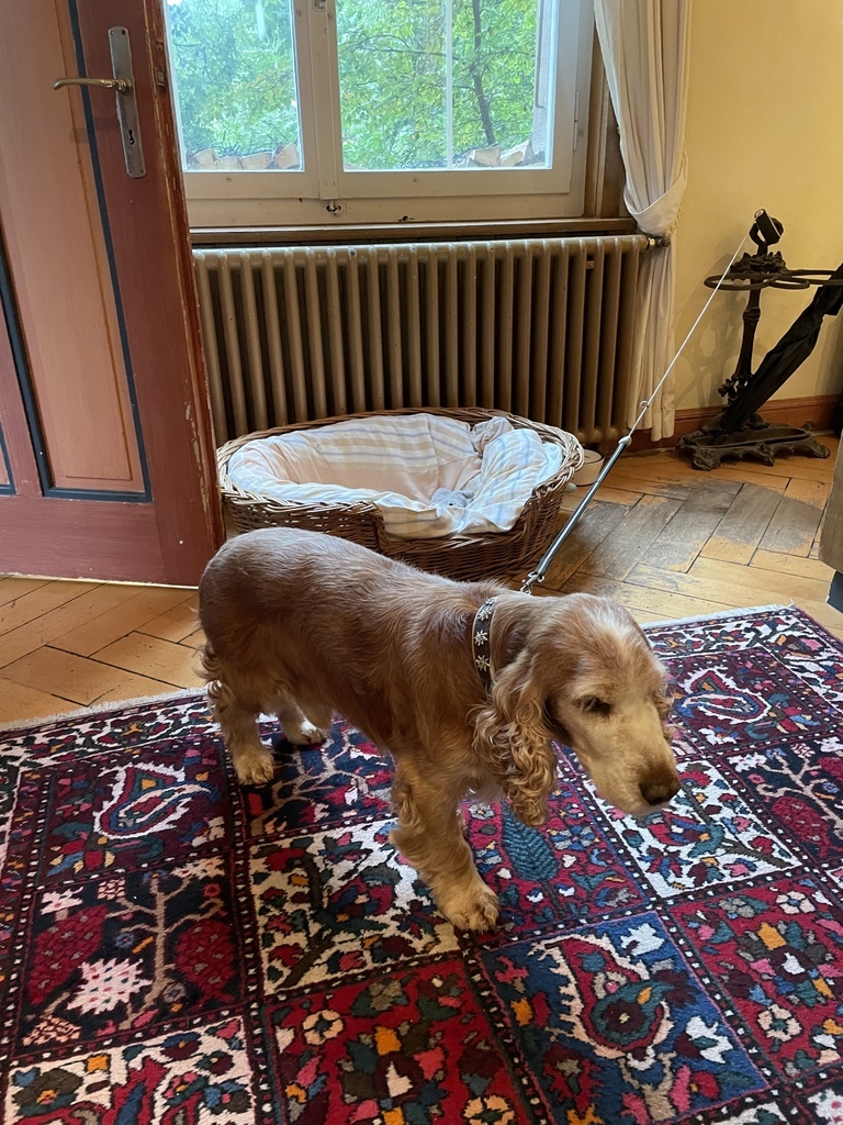 太一德瑞幸福14天蜜月旅行20230722(華航) 太一德瑞幸福14天蜜月旅行20230722(華航)