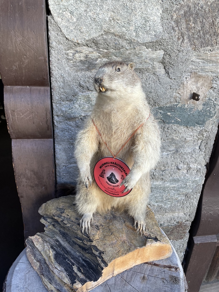 太一德瑞幸福14天蜜月旅行20230722(華航) 太一德瑞幸福14天蜜月旅行20230722(華航)