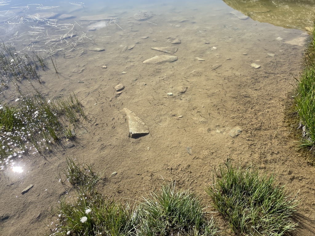 太一德瑞幸福14天蜜月旅行20230722(華航) 太一德瑞幸福14天蜜月旅行20230722(華航)