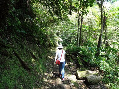 DSC01587_副本.jpg DSC01587_副本.jpg