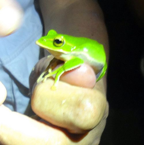 DSC05198_副本.jpg DSC05198_副本.jpg