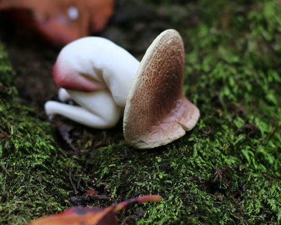 [轉蛋人生] NO.58 SHINE-G 。 毒菇少女。毒菇