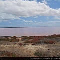 PINK LAKE 湖水真的很粉耶