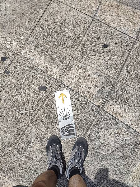 IMG_20190718_141328.jpeg IMG_20190718_141328.jpeg