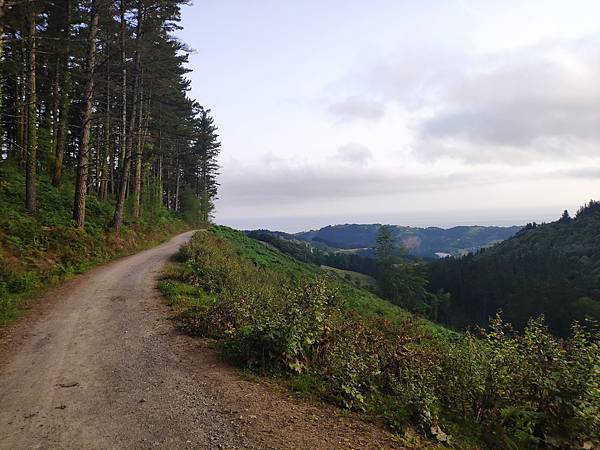 IMG_20190722_074856.jpeg IMG_20190722_074856.jpeg