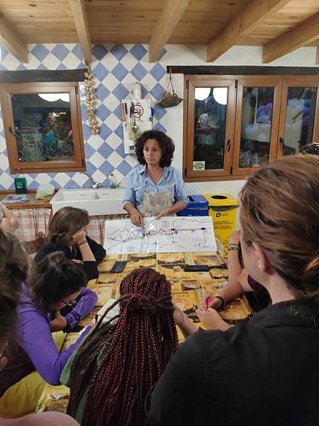 IMG_20190729_215647.jpeg IMG_20190729_215647.jpeg