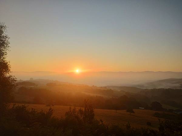 IMG_20190822_075516.jpeg IMG_20190822_075516.jpeg