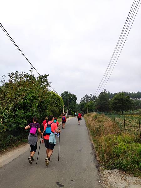 IMG_20190828_093942.jpeg IMG_20190828_093942.jpeg