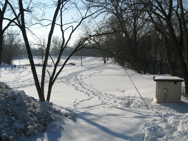 Frog Island Park