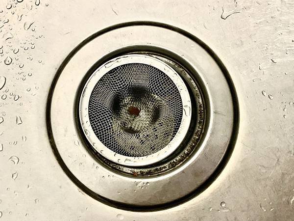 IMG_6777.jpg IMG_6777.jpg