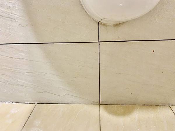 IMG_6906.jpg IMG_6906.jpg