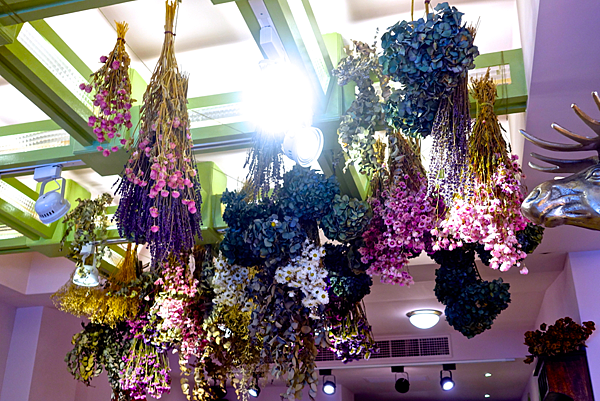 螢幕快照 2015-08-14 下午6.35.44.png