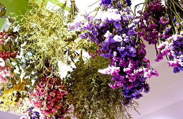 螢幕快照 2015-08-14 下午6.35.58.png