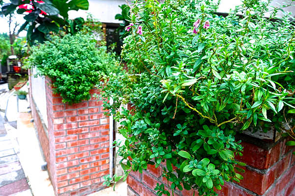 螢幕快照 2015-09-10 下午12.31.01