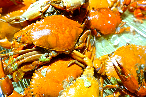 螢幕快照 2015-11-11 下午4.18.58.png