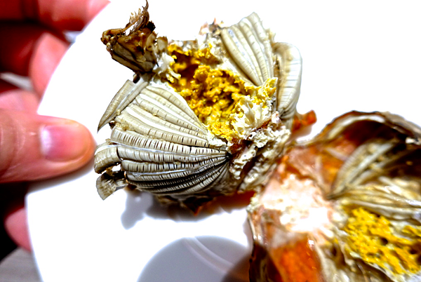 螢幕快照 2015-11-12 下午9.48.57