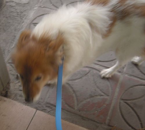 PICT0221