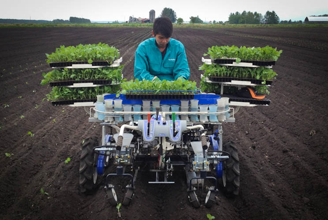 Jpwh 我會永遠懷念的日本家 村瀨農場 了解嗶波猴習性的地方 痞客邦