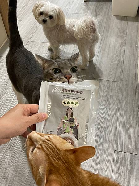 【貓狗天然鮮食推薦】除了罐頭飼料 還能有更好選擇