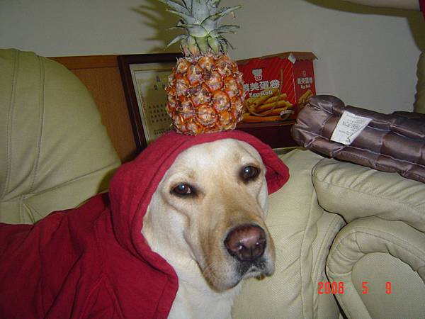 照片 014.jpg 照片 014.jpg