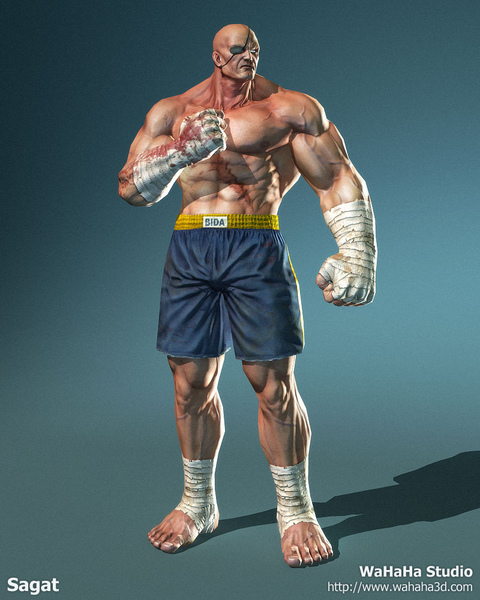 sagat_map_09.jpg