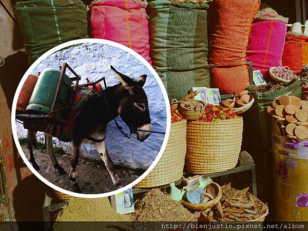 FotorCreated.jpg FotorCreated.jpg