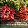 宇治--楓葉紅了.JPG