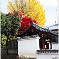 宇治--銀杏與楓.jpg