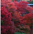 東福寺-居高臨下-1.jpg