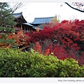 東福寺-臥雲橋看通天橋-1.jpg