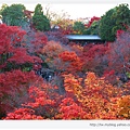東福寺-紅葉與通天橋-1.jpg