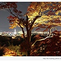 清水寺-京都夜景.jpg