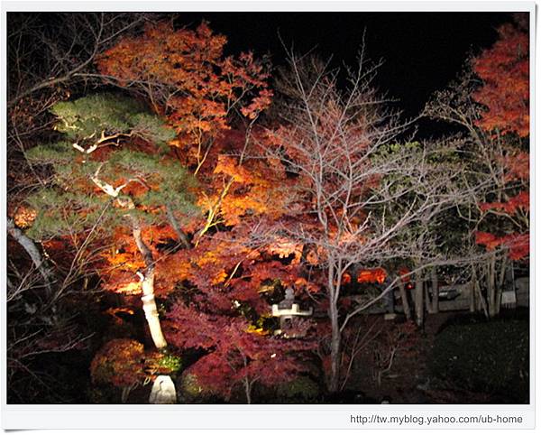 清水寺-夜楓.JPG