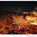 清水寺-夜楓底下的京都市區.JPG