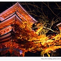清水寺-夜楓旁的三層塔.JPG